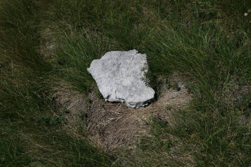 trag medvjeda kamen (2) [800x600].jpg